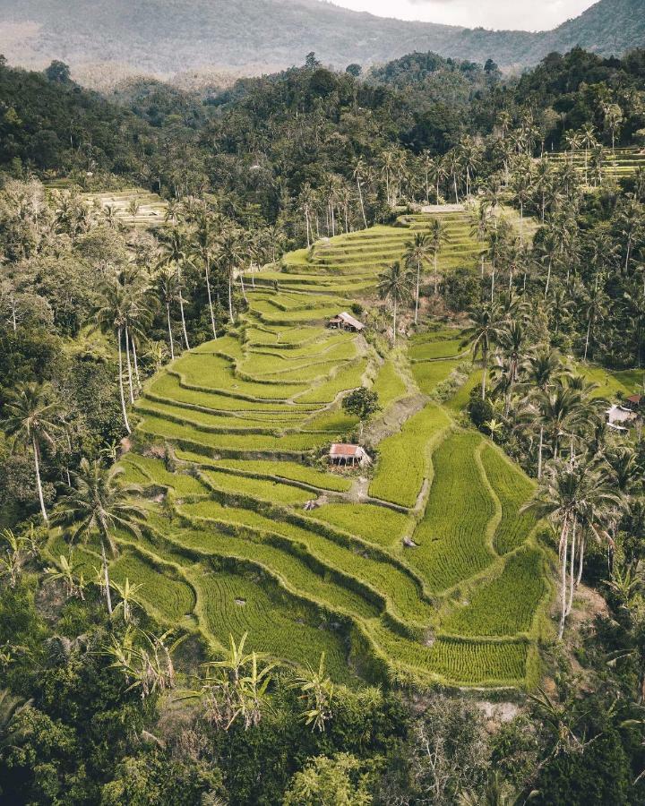 Bali Bio Maison d'hôtes Uluwatu